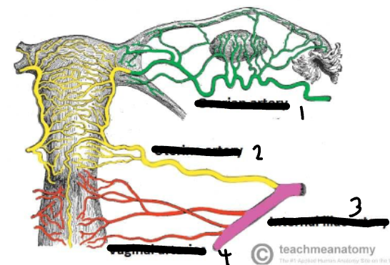 <p>Lable this image?</p>