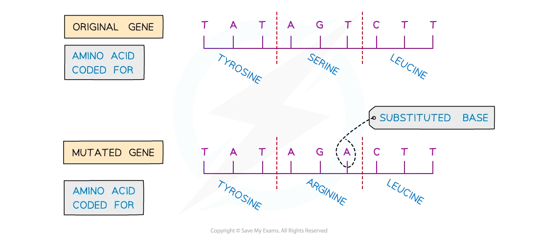 <p>Substitutions</p>