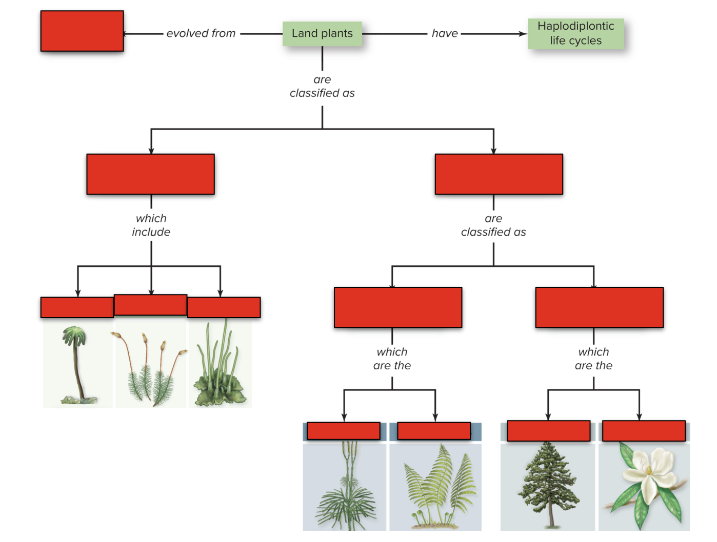 <p>Fill in the missing Group Names</p><p></p>