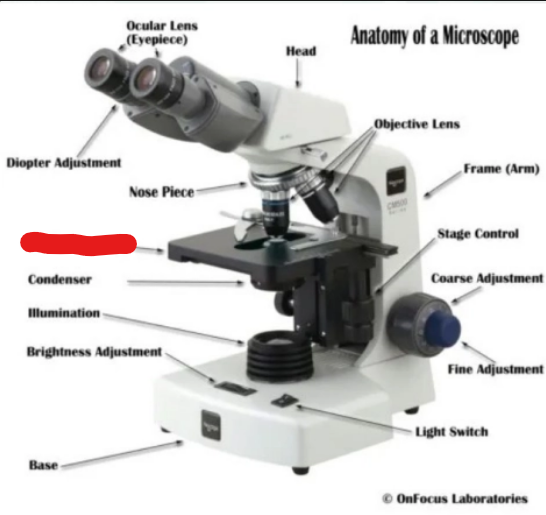 <p>what is it</p>