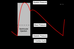 <p>Maximum pressure in systemic arteries during a cardiac cycle.</p>