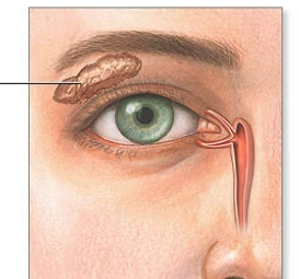 <p>What is it pointing at</p>