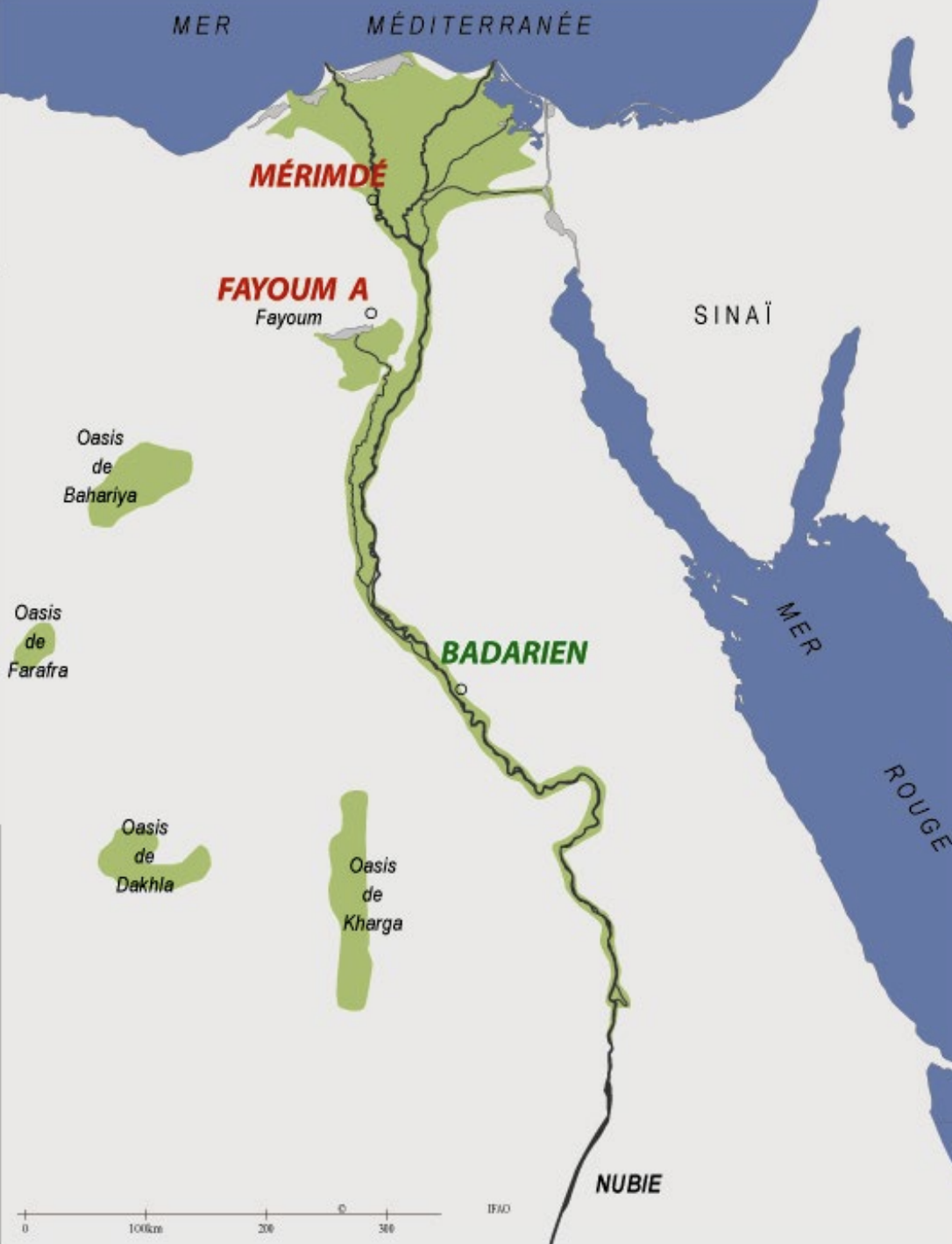 <p>La sédentarisation est plus précoce dans le Nord, ce qui laisse penser que la culture vient du Proche-Orient. Dans le Sud, la sédentarisation est plus tardive, créant au départ une opposition culturelle :</p><p>→ culture du <strong>Fayoum, Badari, Merimdè.</strong></p><p>Même si ce sont des cultures agricoles, elles restent très frustres :</p><p>• céramique de faible qualité,</p><p>• peu de travail sur la pâte,</p><p>• cuisson mal maîtrisée.</p><p>Cependant, on voit déjà apparaître la représentation humaine :</p><p>→ <strong>ex. tête anthropomorphique, culture de Merimdè, vers 5100 av. J.-C., Musée du Caire.</strong></p><p>→ Le talent de l’artiste commence à se développer.</p><p>La culture de Badari present l’evolution</p><p>• céramique cuite avec soin,</p><p>• exemplaires noirs et polis (black polished).</p><p>Culture semi-nomade, mal documentée sur l’habitat, mais montrant un intérêt précoce pour la mort :</p><p>• fosses funéraires,</p><p>• mobilier funéraire riche → culture déjà tournée vers le funéraire.</p><p>Comme dans la culture de Merimdè, on trouve de petites figures anthropomorphiques, probablement liées à la fécondité, témoignant des premières croyances religieuses.</p>