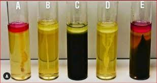 <p>SIM test uses _____ agar</p>