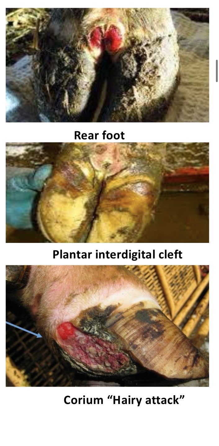 <p>what are these showing?</p>