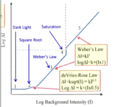 <p>Weber's Law Region 3: What is the equation to measure threshold of this region?</p>