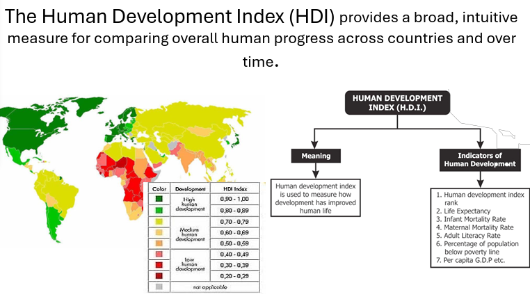 <p>HUMAN DEVELOPMENT INDEX </p>