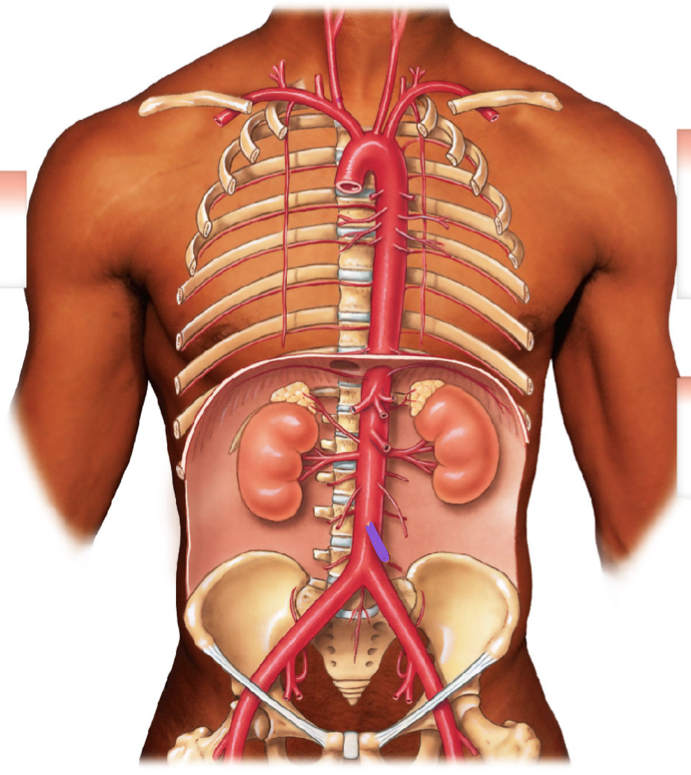 <p>diagram </p>