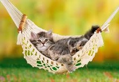 <p>to put (someone) to ease</p>