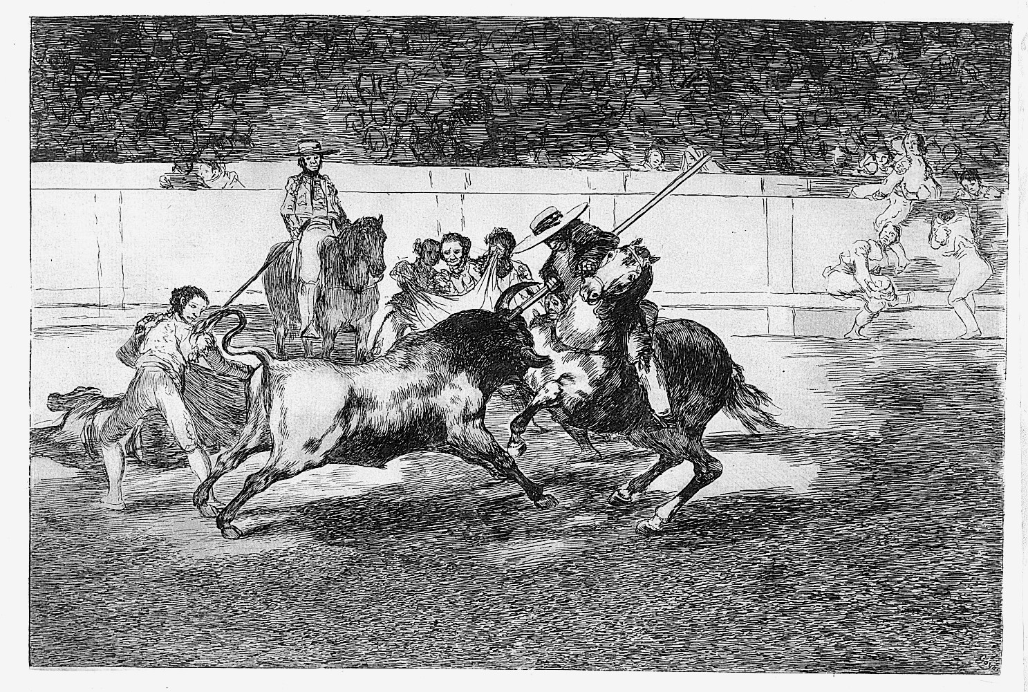 <p>Tauromaquia </p>