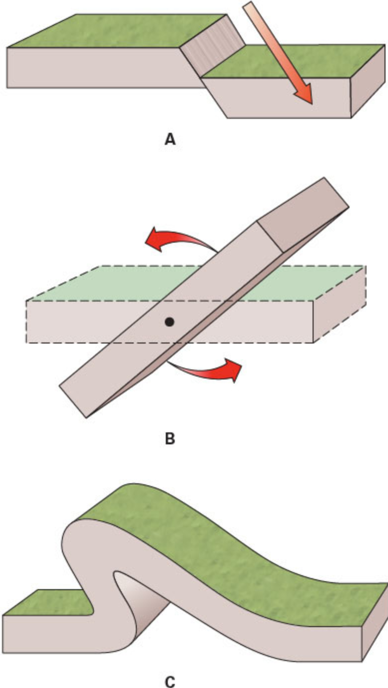 <p><span>The components of deformation include displacement, distortion, and rotation. Match the component with the correct image.</span></p>