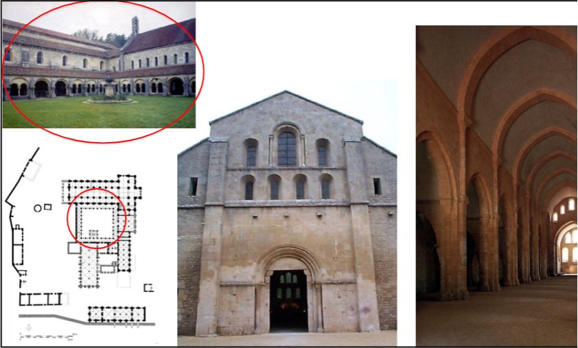 <p>H<span style="background-color: transparent;">ow does the architectural decoration of a Cistercian monastery differ from a Cluniac monastery in terms of design and decoration?&nbsp;</span></p><p><span style="background-color: transparent;">Why was there such a big difference between the 2 different orders of Benedictine monasteries?</span></p>