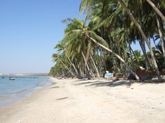 <p>beach; shore</p>