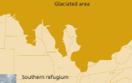 <p>little pockets </p><p>area of refugia, area swallowed by a glacier, almost like a peninsula </p><p>preserve biodiversity during periods of environmental change</p>