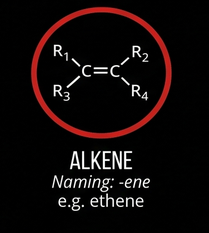 <p><span style="color: rgb(240, 58, 58);"><strong>A hydrocarbon functional group. </strong></span></p><p>Alkenes are unsaturated hydrocarbons and can participate in addition reactions.</p>