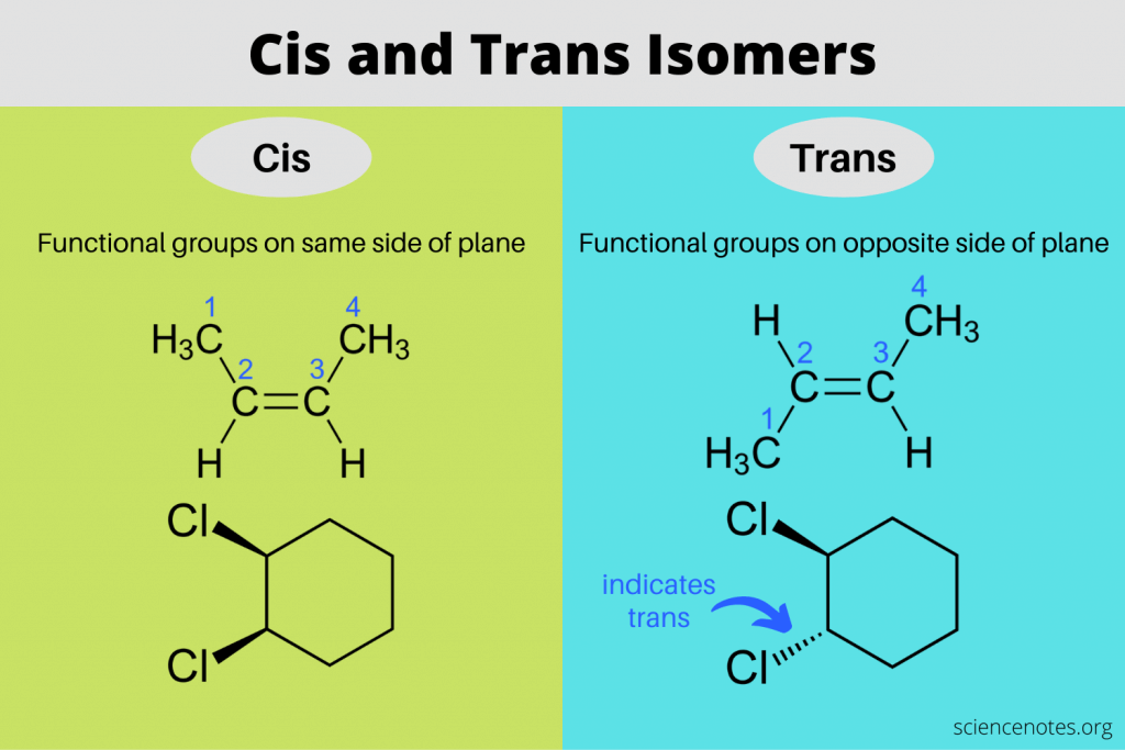 <p>Cis bonds have hydrogen atoms on the same side; trans bonds have hydrogens on opposite sides.</p>