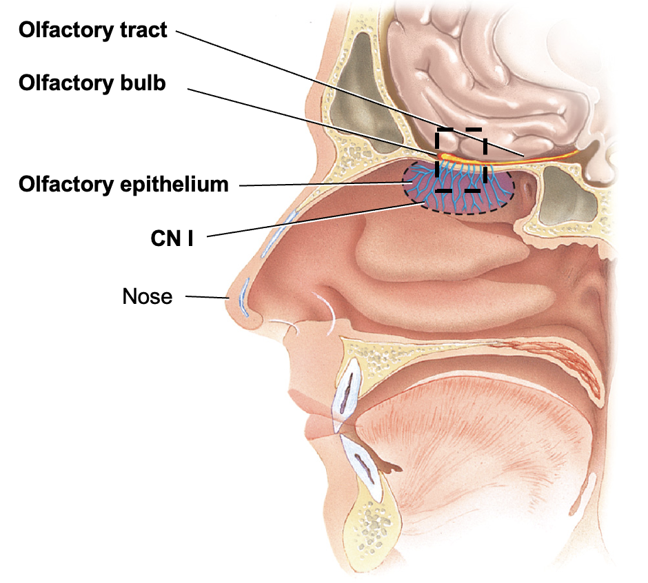 <p>[Image]</p>