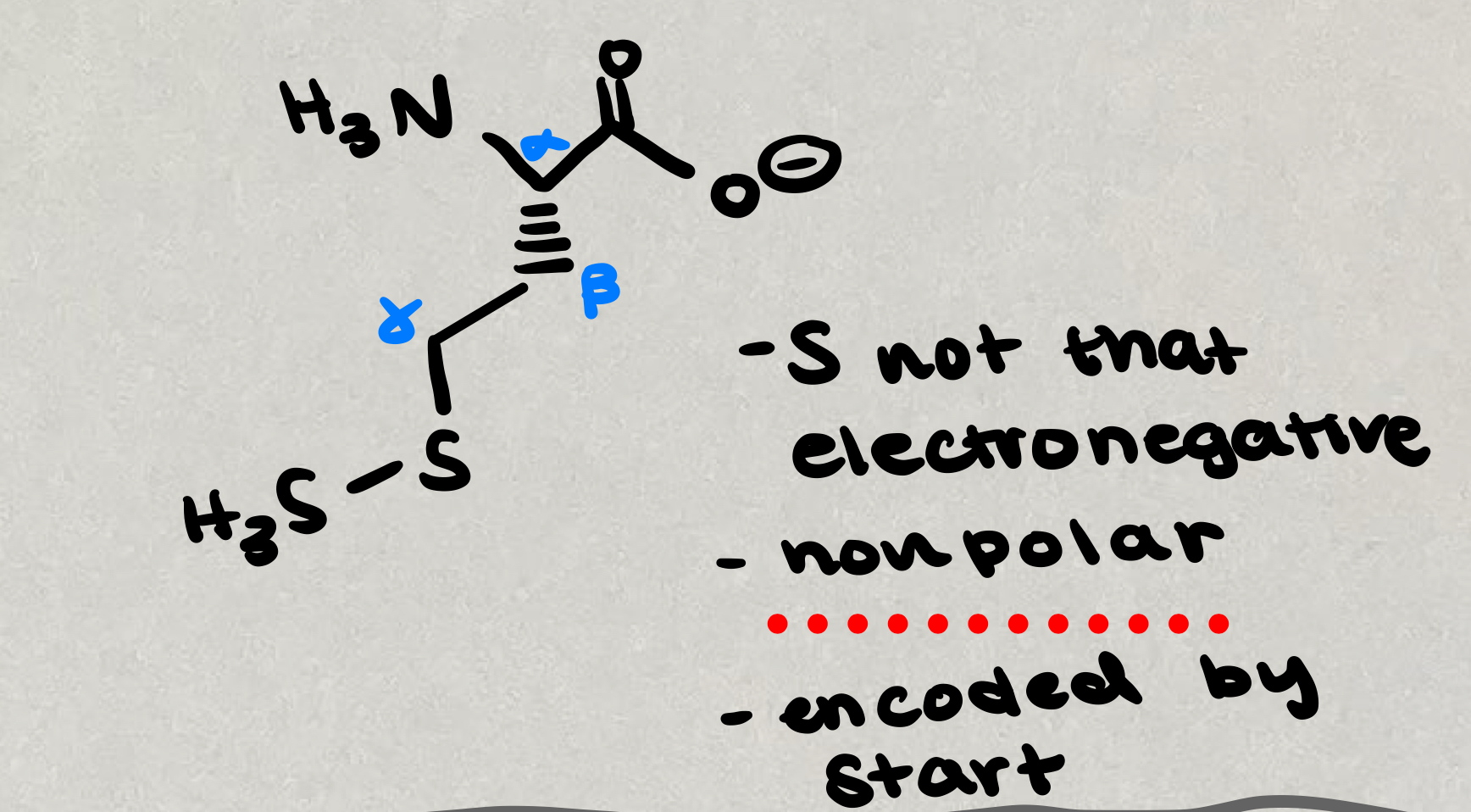 <p>Non-polar, hydrophobic; saturated hydrocarbons</p>