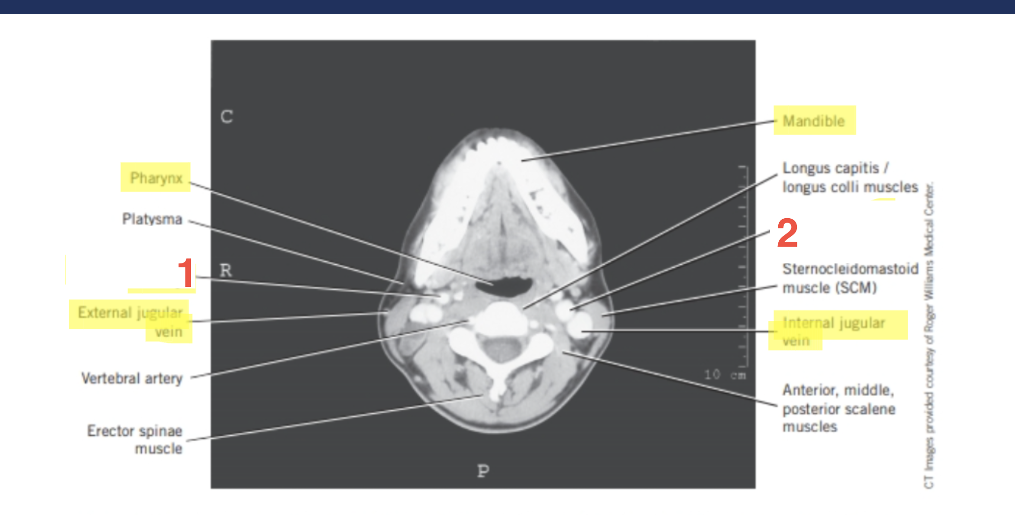 <p>1</p>