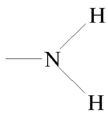 <p>-NH2</p>