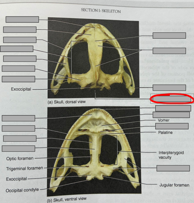 <p>What part of the organism is this?</p>