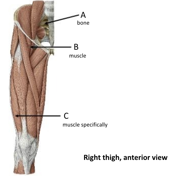 term image