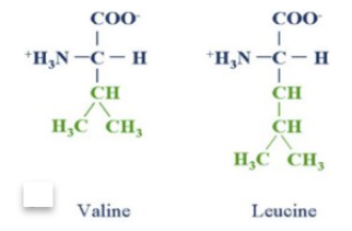<p><span style="color: rgb(255, 255, 255);">In a protein tertiary structure, the side chains (R-groups) of the amino acids valine and isoleucine could interact by ________.<br>A. van der Waals interactions<br>B. hydrogen bonding<br>C. ionic interactions<br>D. covalent bonding<br>E. polar covalent bonding</span></p>