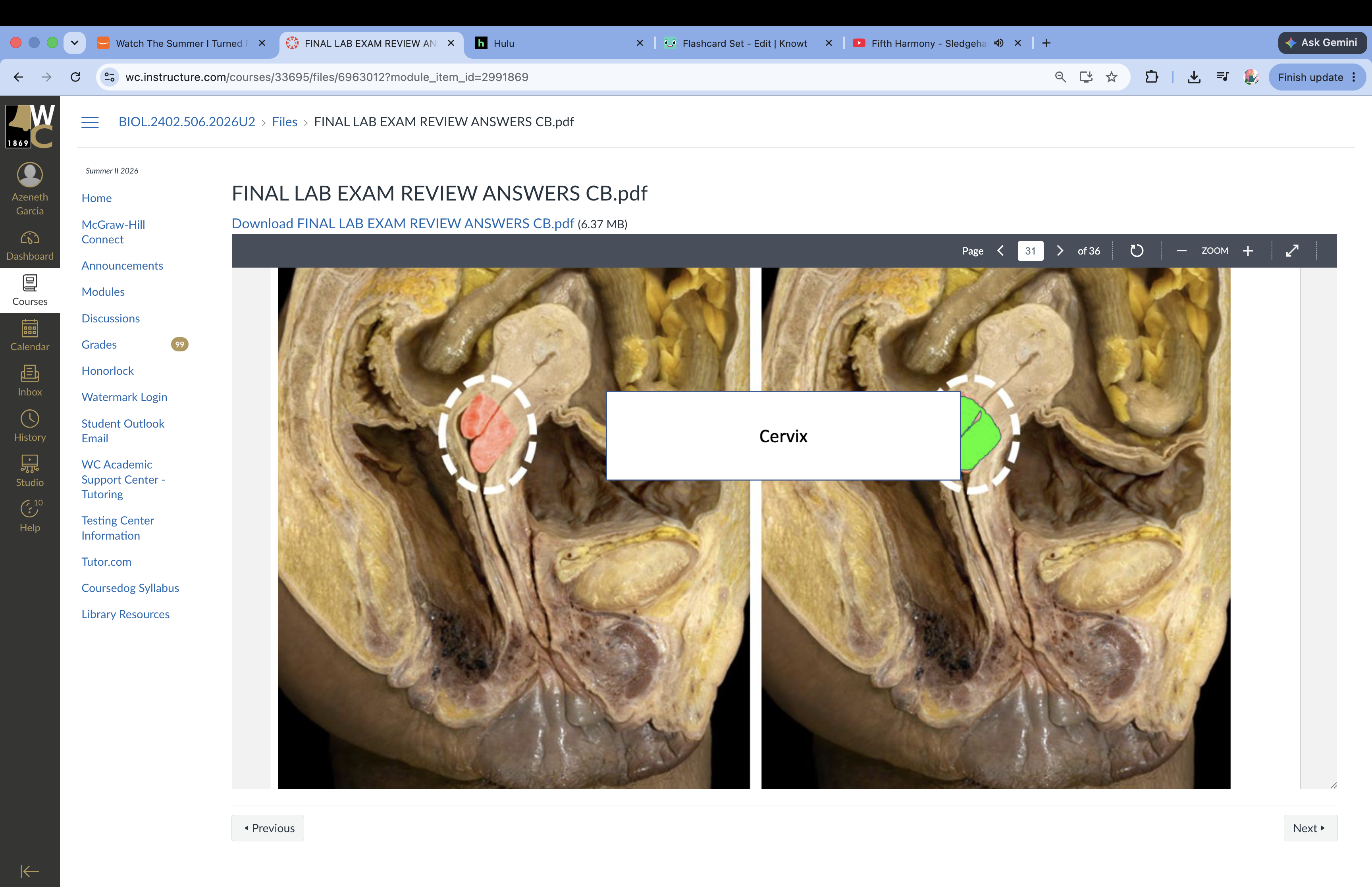 knowt flashcard image