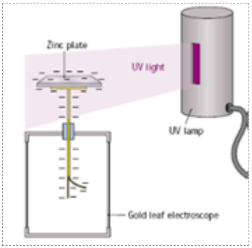 <p><strong>Procedure</strong></p><ol><li><p>Charge a GLE negatively</p></li><li><p>Shine UltraViolet light on the zinc plate</p></li></ol><p><strong>Result</strong></p><p>The leaf falls altogether</p><p><strong>Observation</strong></p><p>Shining UV light on the zinc plate <u>liberates</u> electrons from the zinc and therefore the leaves become neutralised and fall back together</p>