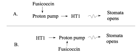 <p>Which model is supported by the data?</p>