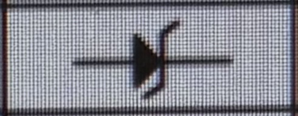 term image
