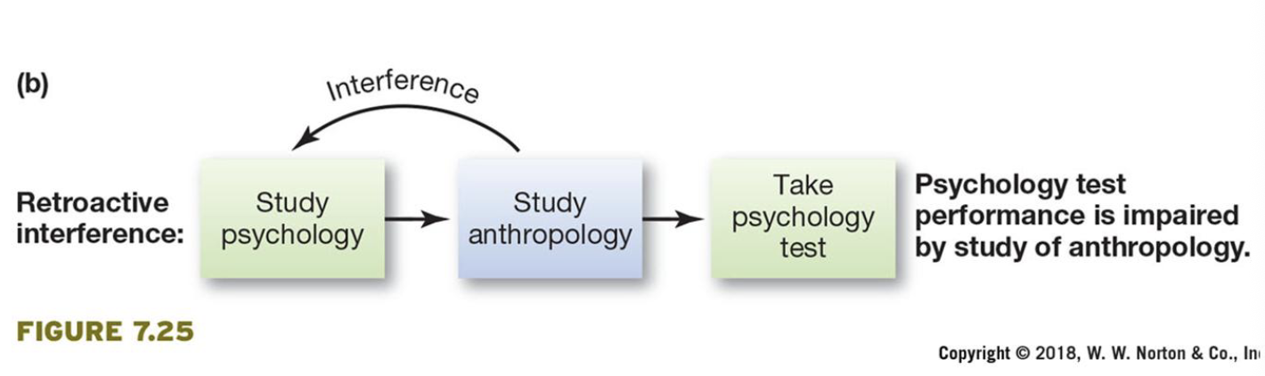<p>New information impairs the retention of previously learned information </p>