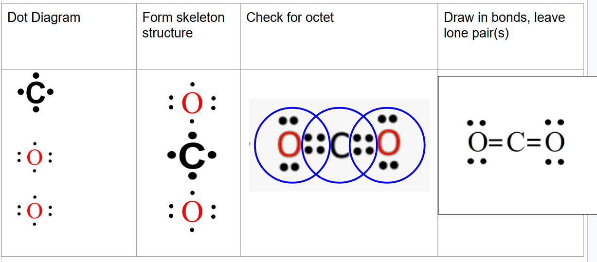 <p>double bond</p>