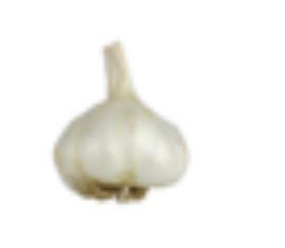 <p>Garlic </p>