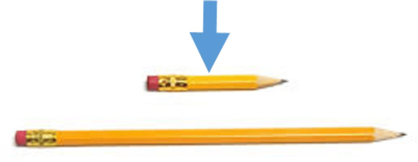 <p>duǎn short ngắn 人生 太 短 要 做自己 喜欢 的事</p>