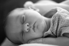 <p>a periodic, natural loss of consciousness — as distinct from unconsciousness resulting from a coma, general anesthesia, or hibernation.</p>