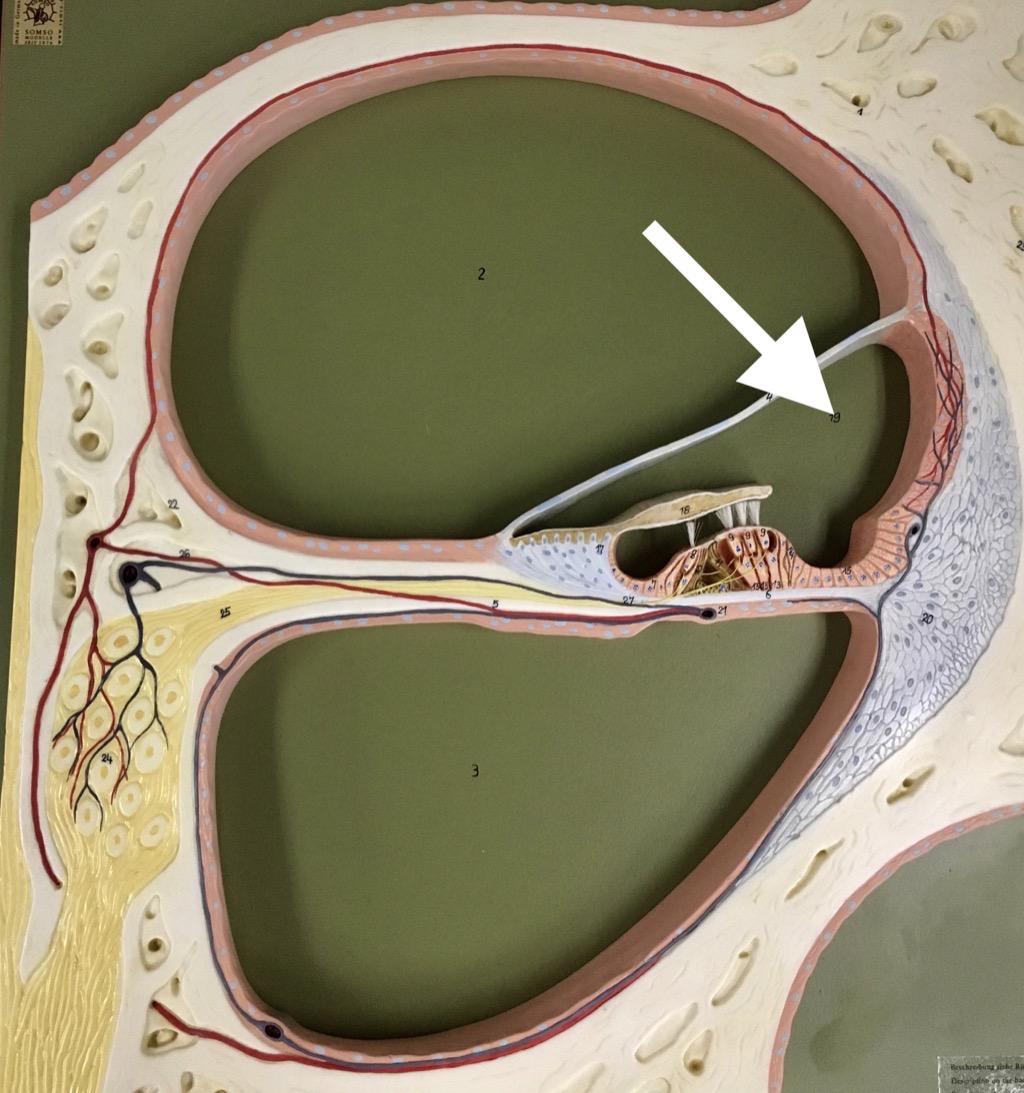 <p><span>name of the specific SPACE at the end of the arrow's point</span></p>