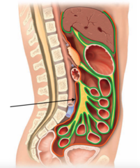 <p>cavity posterior to the peritoneum in the abdominal cavity</p>
