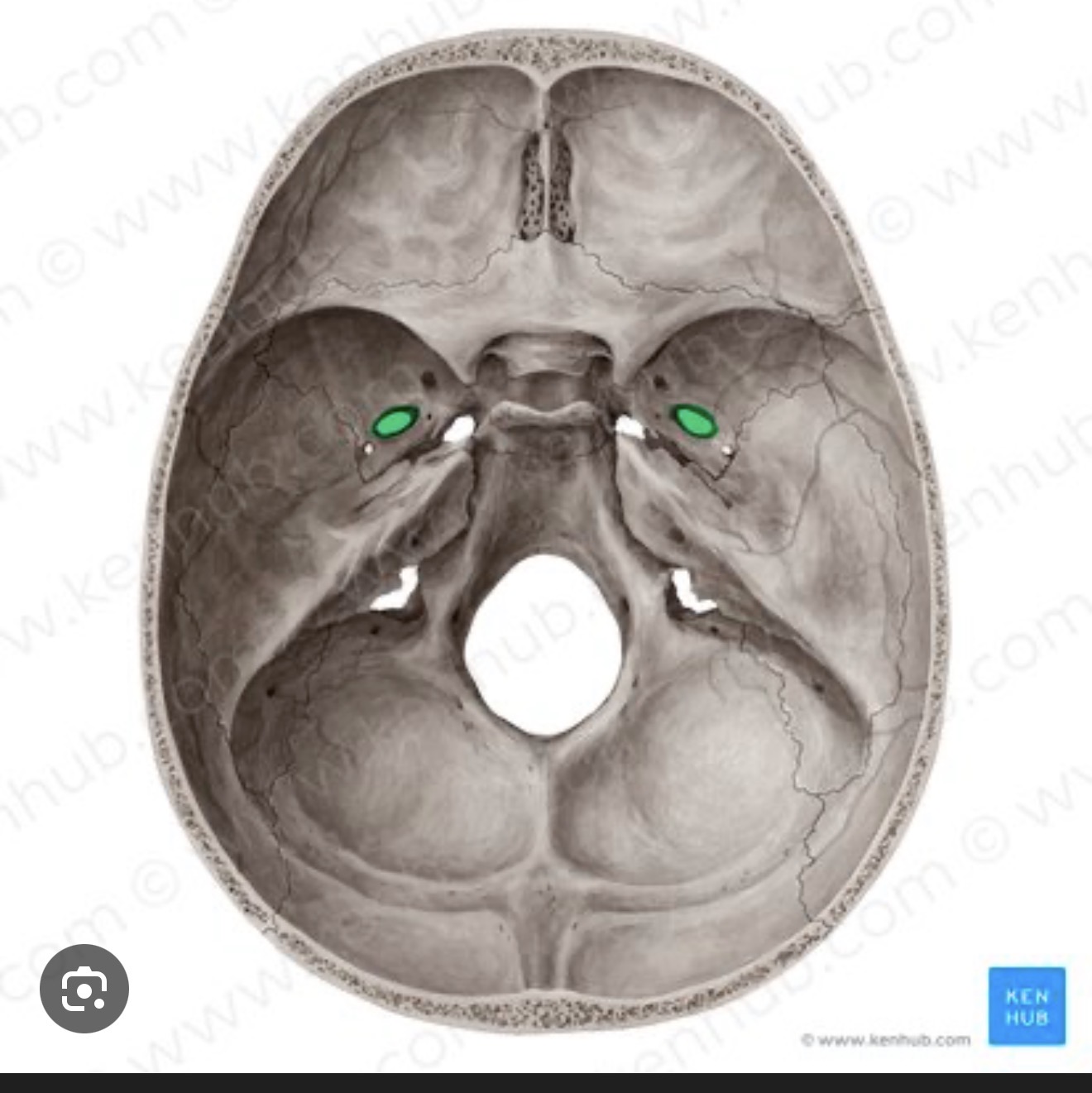 <p>what is this?</p>