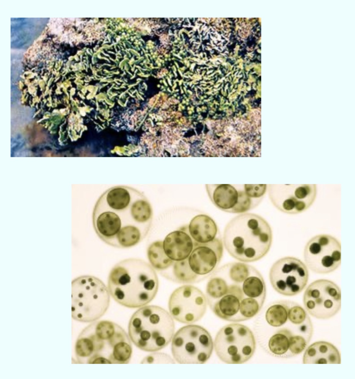 <p>What is this?</p>