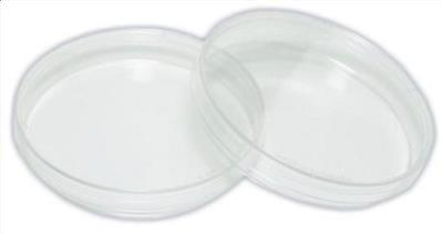 <p>Petri dish</p>