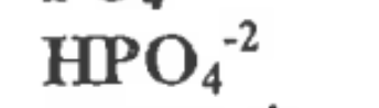 <p>1 Hydrogen, 1 Phosphorous, 4 oxygen</p>