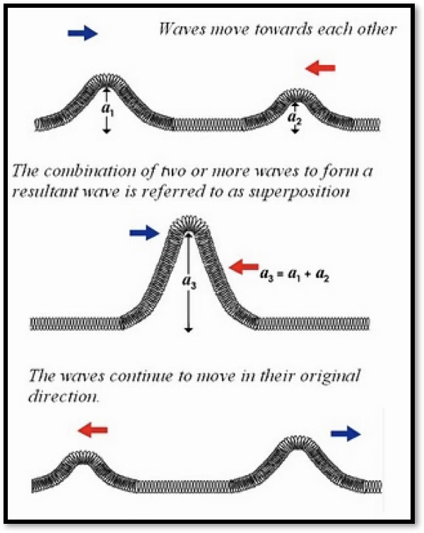 <p>overlapping waves add algebraically to produce a resultant wave</p><p>happens when 2 or more waves pass simultaneously through the same region</p>