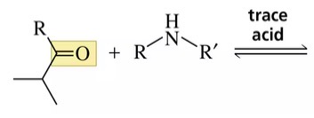 <p>Reaction with a secondary amine forms…</p>