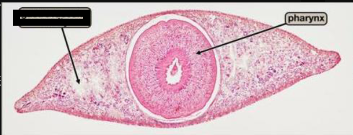 <p>What is this? </p>