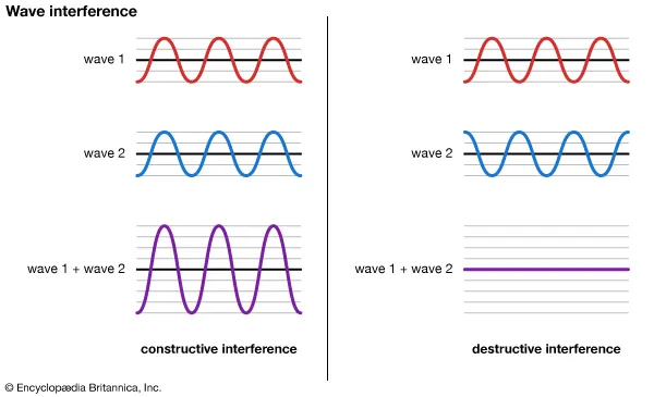 <p><span style="background-color: transparent;">when 2 or more waves meet, their displacements combine to form a <strong>new wave</strong></span></p><ul><li><p><span style="background-color: transparent;">The resulting wave = sum of individual waves</span></p></li></ul><p><br></p><p><span style="background-color: transparent;"><u>Resultant Wave:</u></span></p><ul><li><p><span style="background-color: transparent;">Constructive Interference: Waves add together = larger amplitude</span></p></li><li><p><span style="background-color: transparent;">Destructive Interference: Waves cancel = smaller / zero amplitude</span></p><ul><li><p><span style="background-color: transparent;">How noise cancelling headphones work</span></p></li></ul></li></ul><p></p>