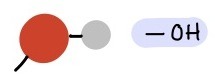<p>(--OH)</p><p>Alcohols</p><p>Polar</p><p>Hydrogen bonding</p>