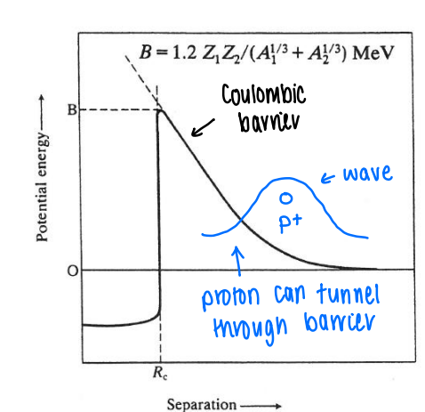 <p>There is a coulombic repulsion which increases as a proton approaches the nucleus.</p><p>The height of the coulombic barrier is a function of the charge and nuclear mass. The bigger the nuclear mass (A), the smaller the barrier.</p><ul><li><p>The proton is able to tunnel through the barrier.</p></li></ul><p></p>