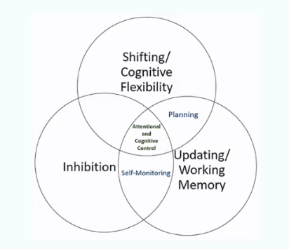 <p>Inhibition, cognitive flexibility, and working memory</p>
