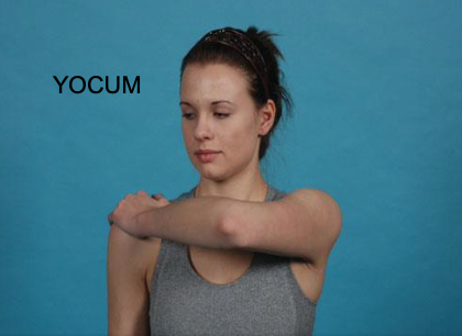 <p><span>test is a modification of this test in which the patient’s hand is placed on the opposite shoulder and the examiner elevates the elbow. Pain indicates a positive test</span></p><p></p>